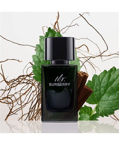 men's mr burberry eau de parfum spray 3.3 oz|burberry fragrance for men.